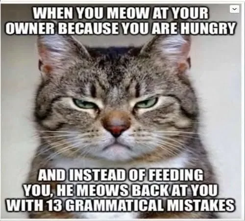 610A5BB6-D3FF-40B1-9546-B2F92701A511.webp