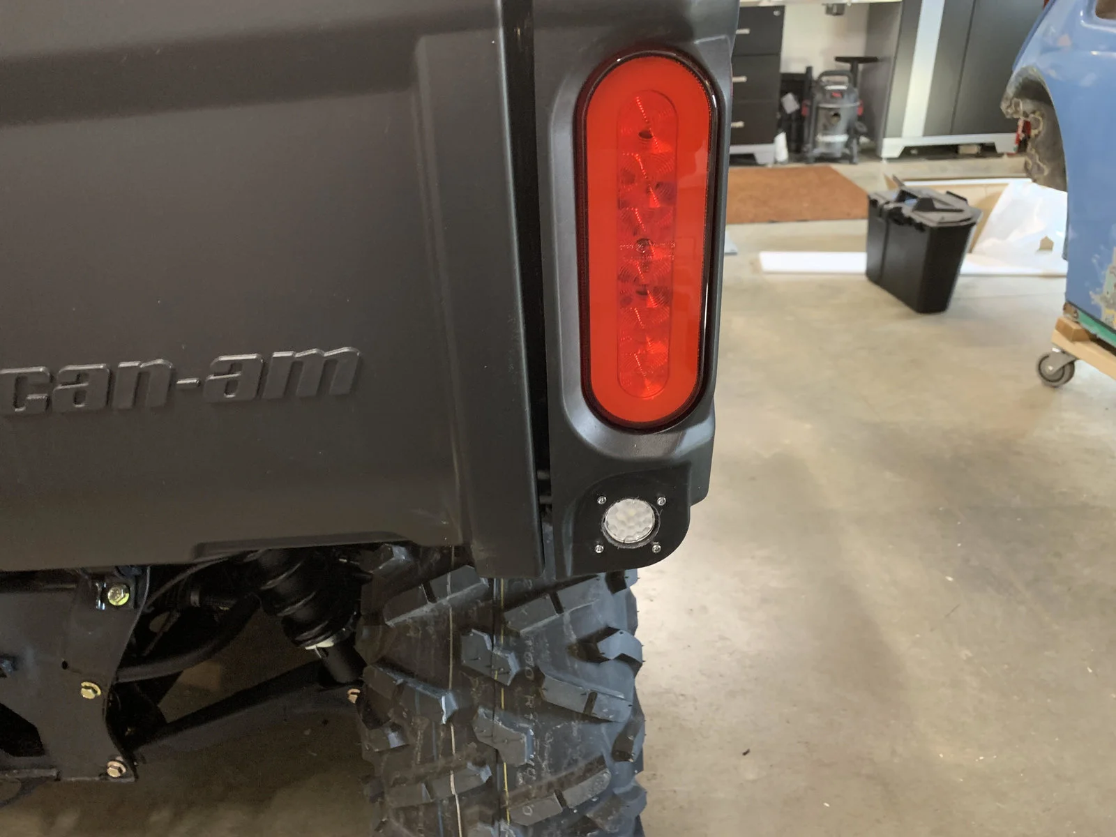 Back Up Light close up.webp