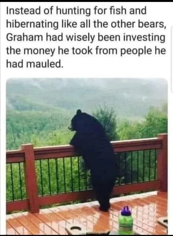 Graham_bear.webp