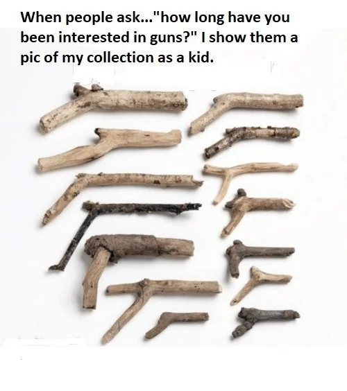 Gun collection.webp
