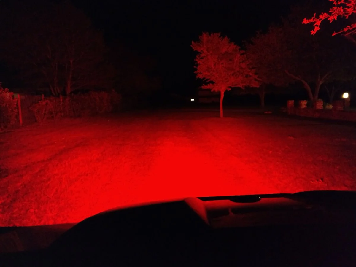 redledatnight.webp