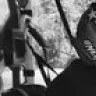 Dan