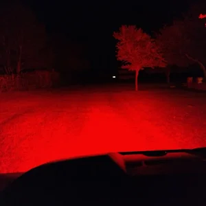 redledatnight.webp