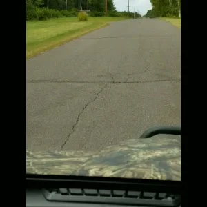 20190909_121449_5491333771795.mp4