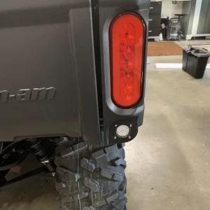 Back Up Light close up.webp